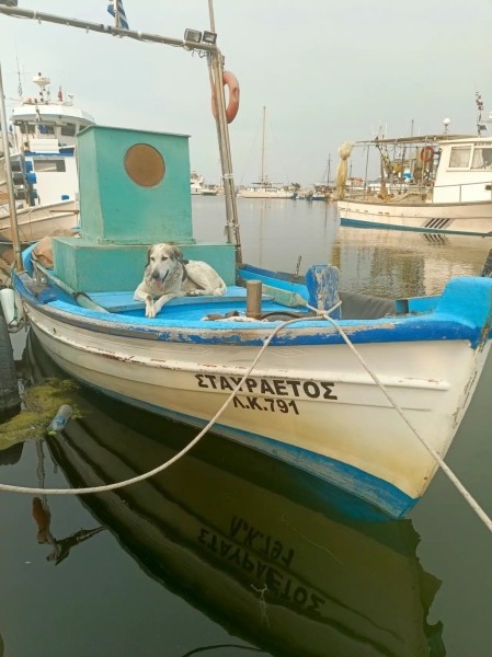 Штиль на Эгейском море. Рассказ брестчанина об отдыхе в Греции летом Штиль на Эгейском море. Рассказ брестчанина об отдыхе в Греции летом