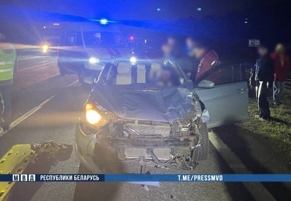 Жуткое ДТП на М1: наезд на дикое животное - погибли водитель и ребенок  