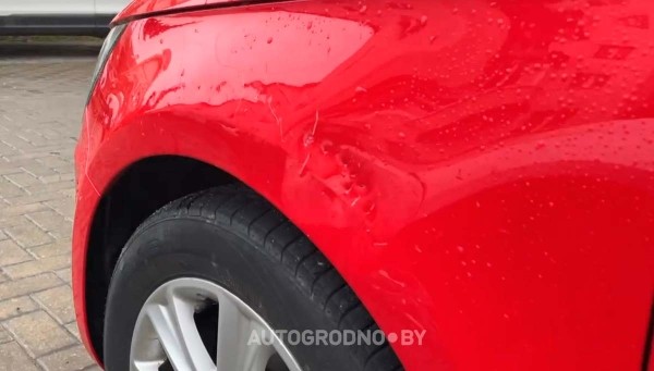 Собаки погрызли автомобиль девушки из Гродно Собаки погрызли автомобиль девушки из Гродно