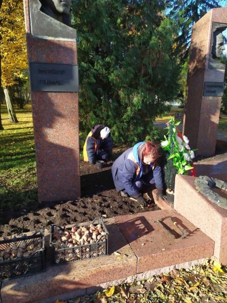 В Бресте будет высажено 50 тысяч тюльпанов