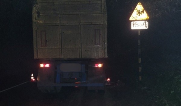 За прошедшую декаду октября в Брестской области в результате ДТП погибли два человека, а пятеро получили тяжкие телесные повреждения, в том числе один ребенок