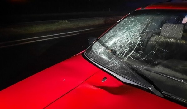 За прошедшую декаду октября в Брестской области в результате ДТП погибли два человека, а пятеро получили тяжкие телесные повреждения, в том числе один ребенок